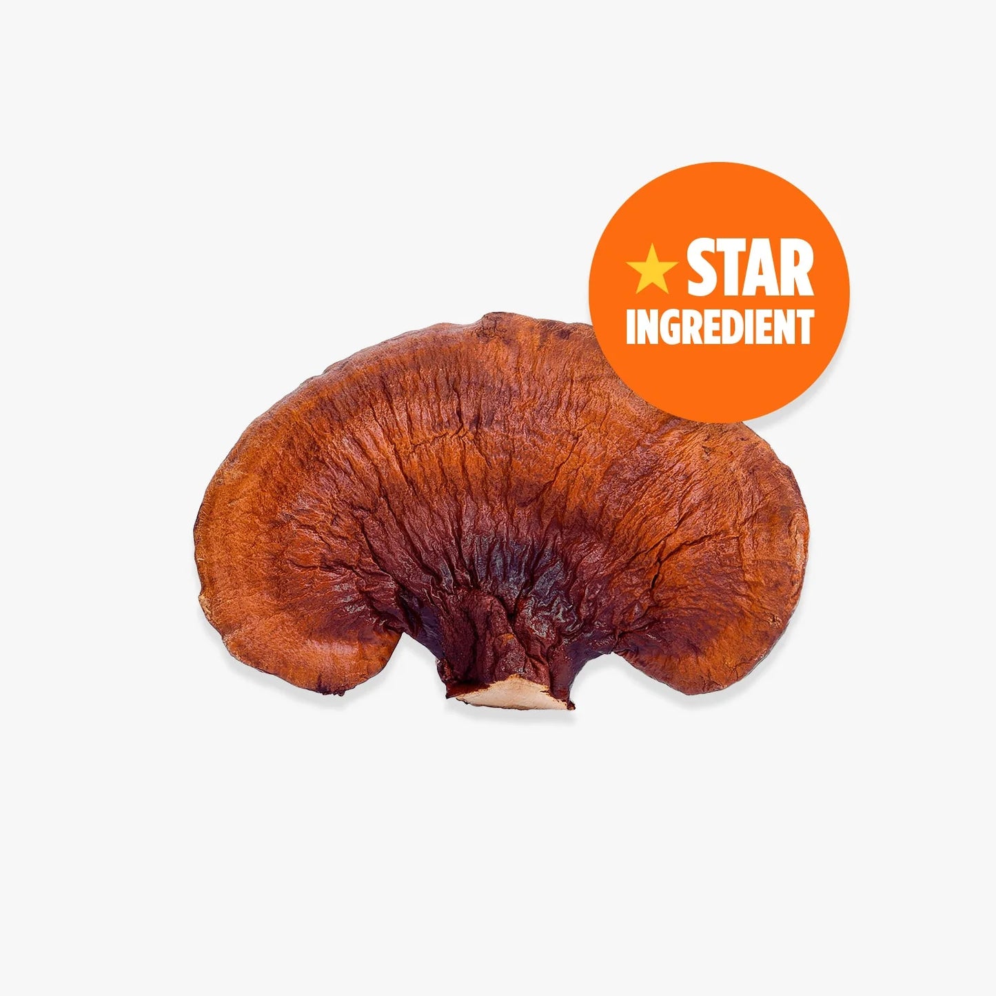 Orange County (Sample Size) Calm & Unwind Adaptogen BRAIN FOOD. Mushroom Drink | Chocolate Flavoured